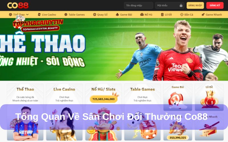 CO88 là sân chơi cá cược đẳng cấp quốc tế CO88 là sân chơi cá cược đẳng cấp quốc tế
